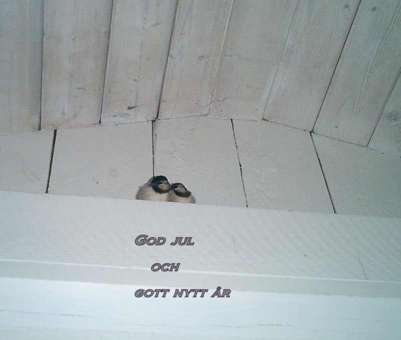 Efter_första_flygturen