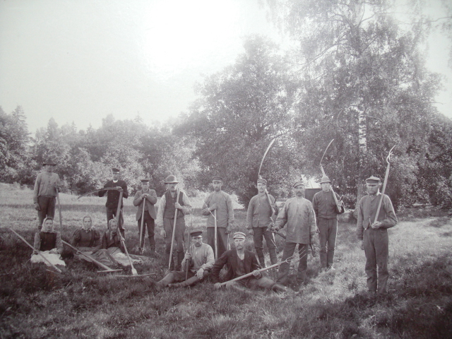 Skörd Hörningsnäs 1897